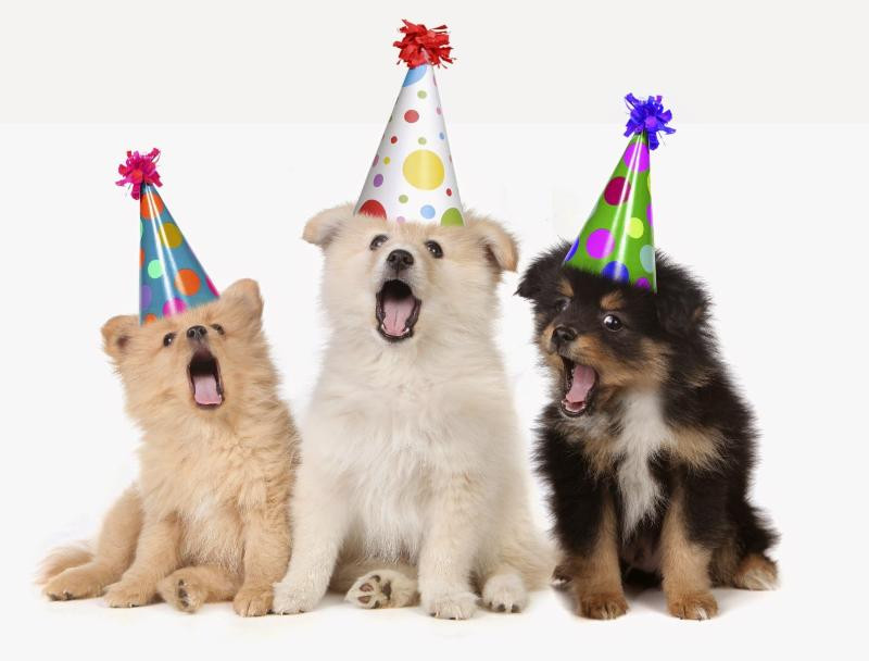 Meme mừng sinh nhật siêu cute, người hay cằn nhằn