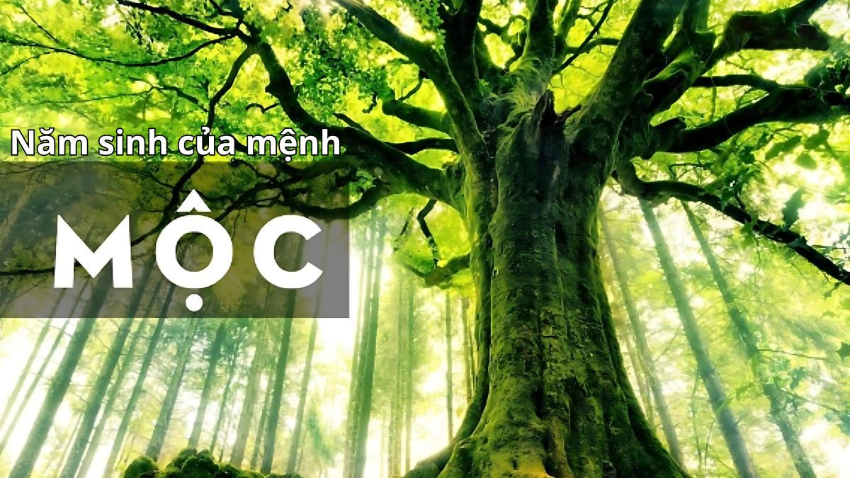 Bảng liệt kê các năm sinh thuộc mệnh Mộc trên nền ảnh mây trời