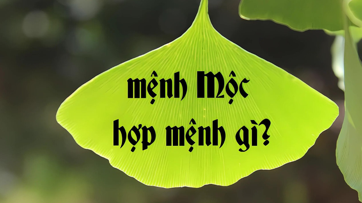 Hình ảnh một cặp đôi đang nắm tay nhau trên một cánh đồng xanh, tượng trưng cho sự hòa hợp