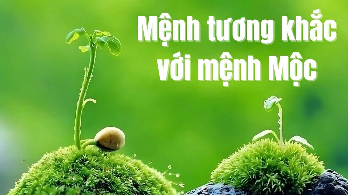 Hai bàn tay tượng trưng cho sự xung khắc, với yếu tố Mộc và Kim hoặc Thổ