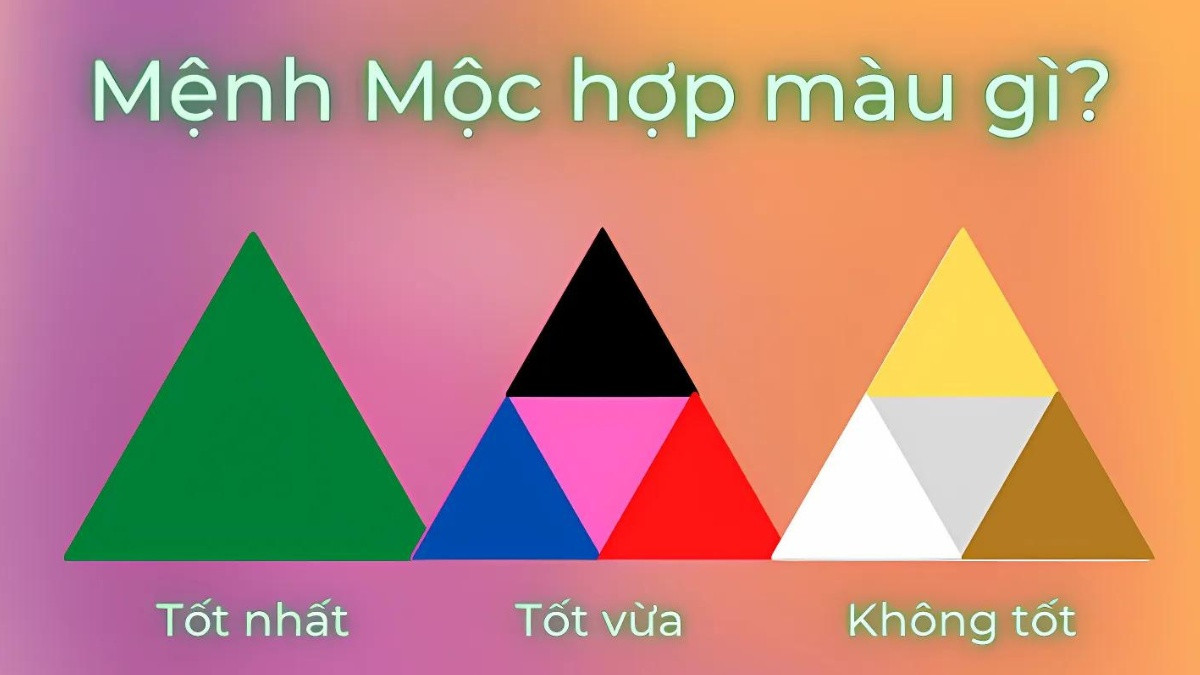 Bảng màu sắc phong thủy với các dải màu xanh lá, xanh dương và đen
