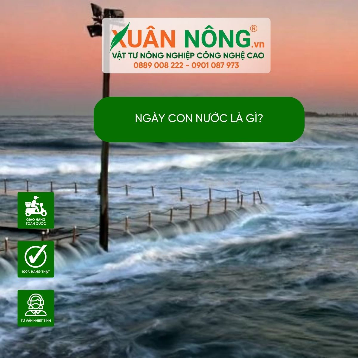 Giải thích Ngày Con Nước Miền Bắc là gì