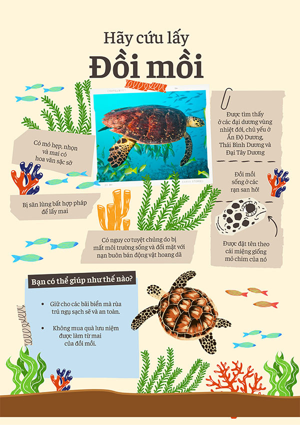 Poster tuyên truyền bảo vệ môi trường biển với hình ảnh đại dương xanh và các loài sinh vật biển.
