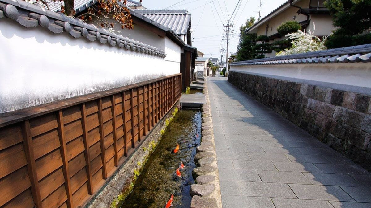 rãnh hay rảnh từ nào đúng