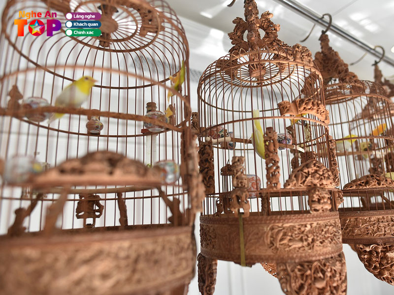Trung chim cảnh với nhiều loại chim cảnh đa dạng