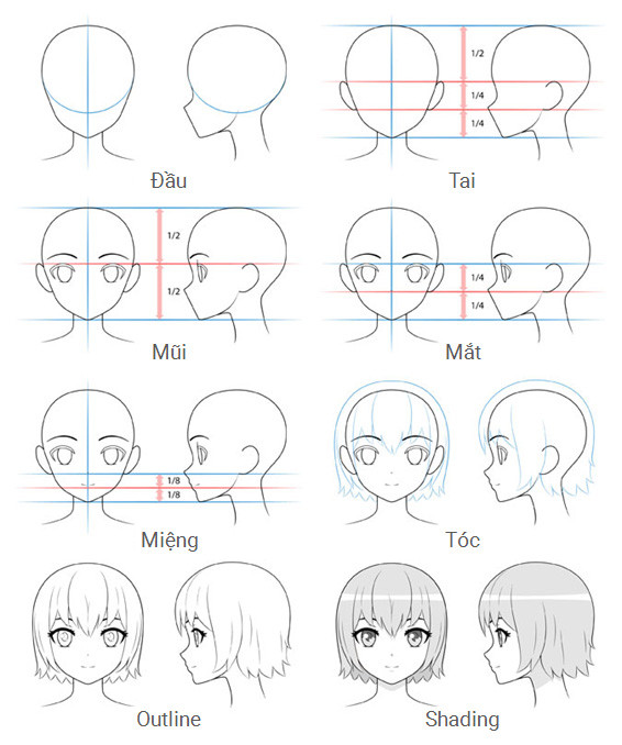 Phác thảo cấu trúc đầu nhân vật anime nữ với các đường hướng dẫn tỉ lệ