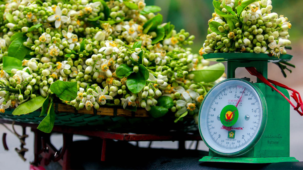 Minh họa quy ước 1kg tương đương với 10 lạng trong đơn vị đo lường Việt Nam