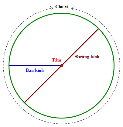 Minh họa bán kính và đường kính của một đường tròn, làm rõ ký hiệu R là bán kính