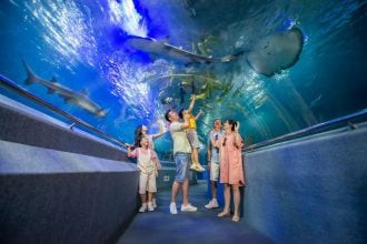 Tương tác cùng động vật biển tại Sea World