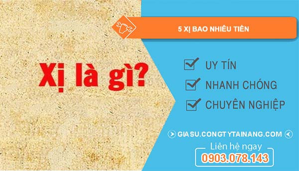 Minh họa các mệnh giá tiền tệ Việt Nam, tập trung vào đồng 50.000 và 10.000 đồng, làm rõ khái niệm 5 xị là bao nhiêu tiền
