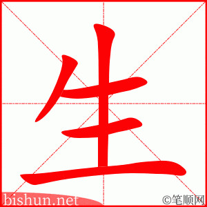 Học viết Hán tự &quot;外子&quot; (wàizǐ) – Nhà tôi tiếng Trung