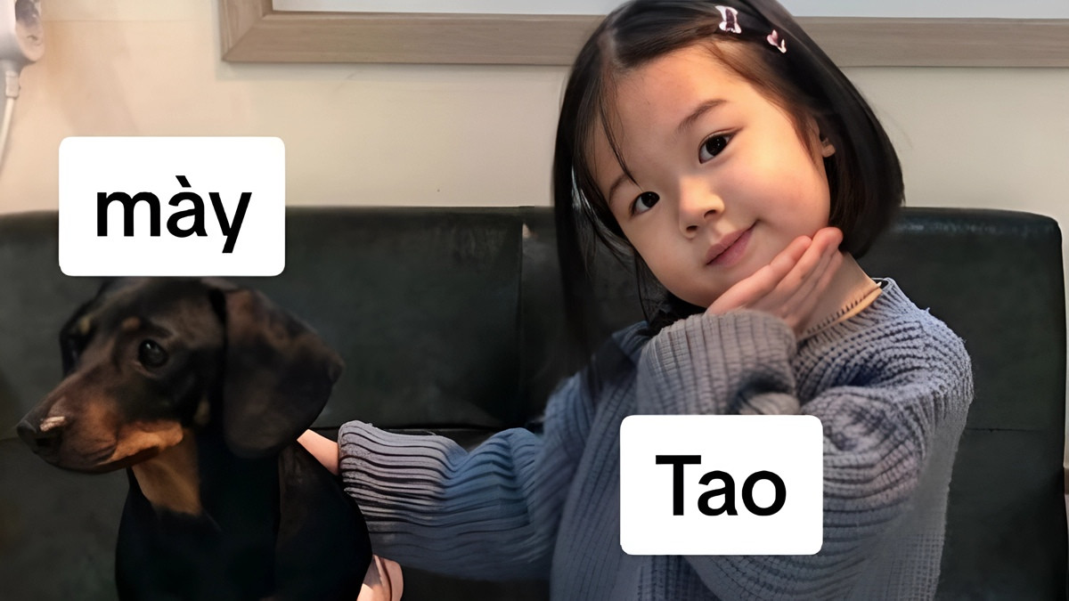 Meme em bé đang ngáp dài, chuẩn bị ngủ