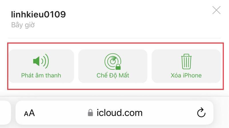 Các tùy chọn hỗ trợ tìm kiếm iPhone khi đã xác định được vị trí