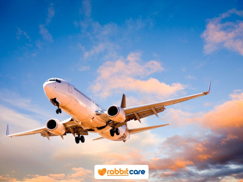 Giải mã giấc mơ thấy máy bay hạ cánh, máy bay rơi hoặc lái máy bay