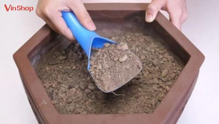Sử dụng xẻng xúc đất trồng cây