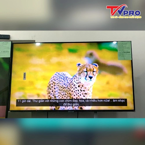 nên mua tivi sony nếu bạn muốn chất lượng hình ảnh tốt