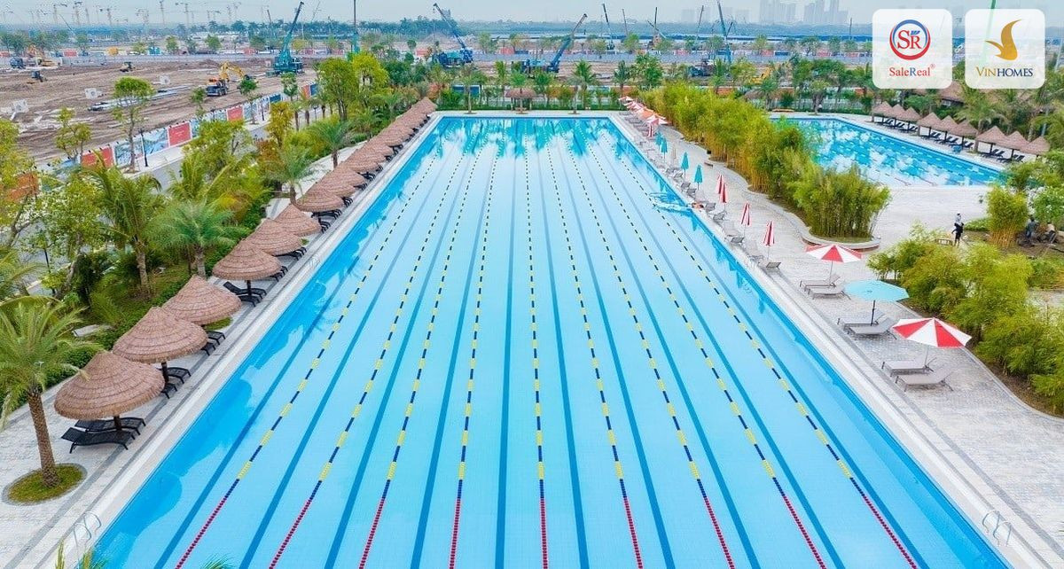Hồ bơi kình ngư đạt chuẩn Olympic tại Vinhomes Ocean Park 3