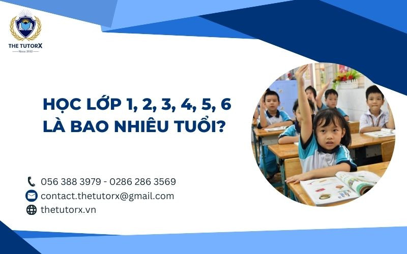 Học sinh tiểu học tươi cười trong lớp học