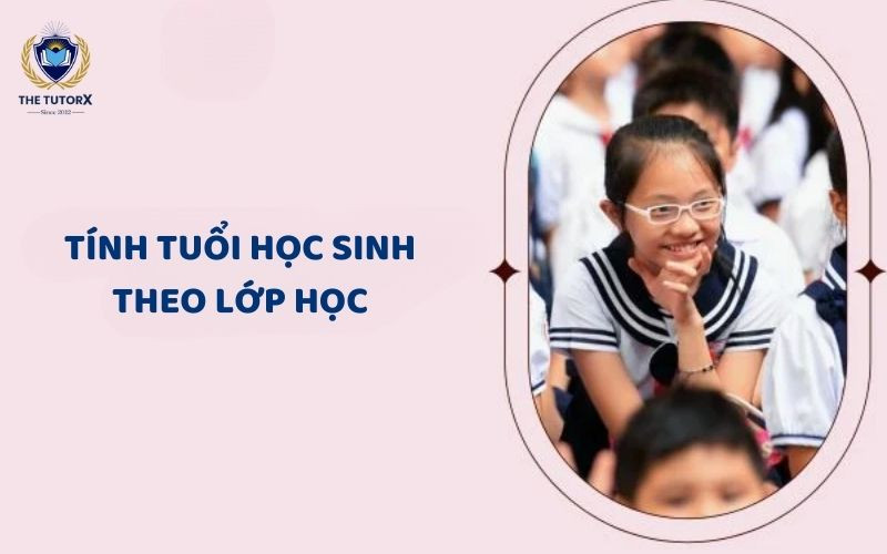 Bảng tổng hợp độ tuổi các cấp lớp