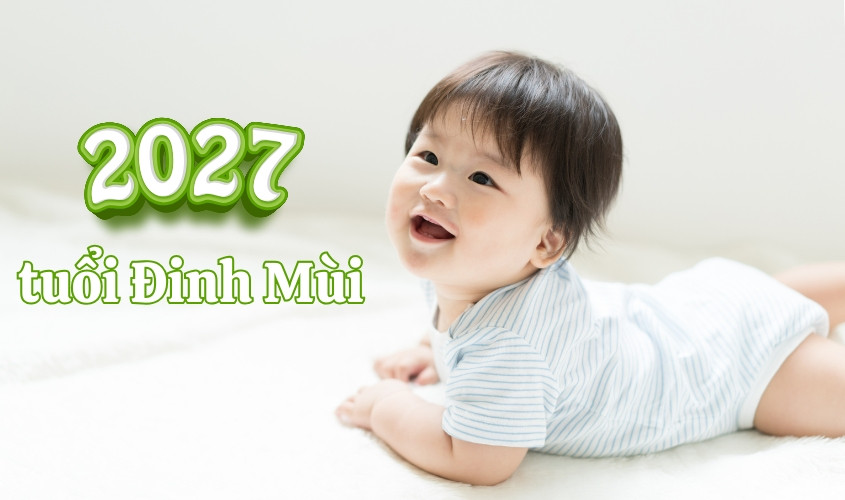 Đặc điểm của người tuổi Đinh Mùi sinh năm 2027 qua hình ảnh biểu tượng