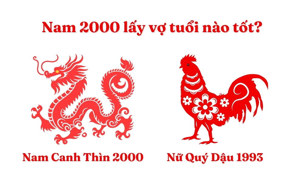 Luận giải sự tương hợp giữa nam Canh Thìn 2000 và nữ Quý Dậu 1993, mang lại nhiều yếu tố tích cực cho hôn nhân