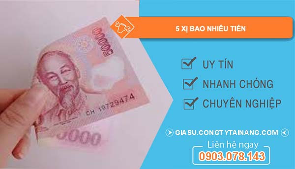 Phân tích giá trị của 5 xị trong giao dịch, biểu thị 50.000 đồng qua hình ảnh tiền tệ Việt Nam