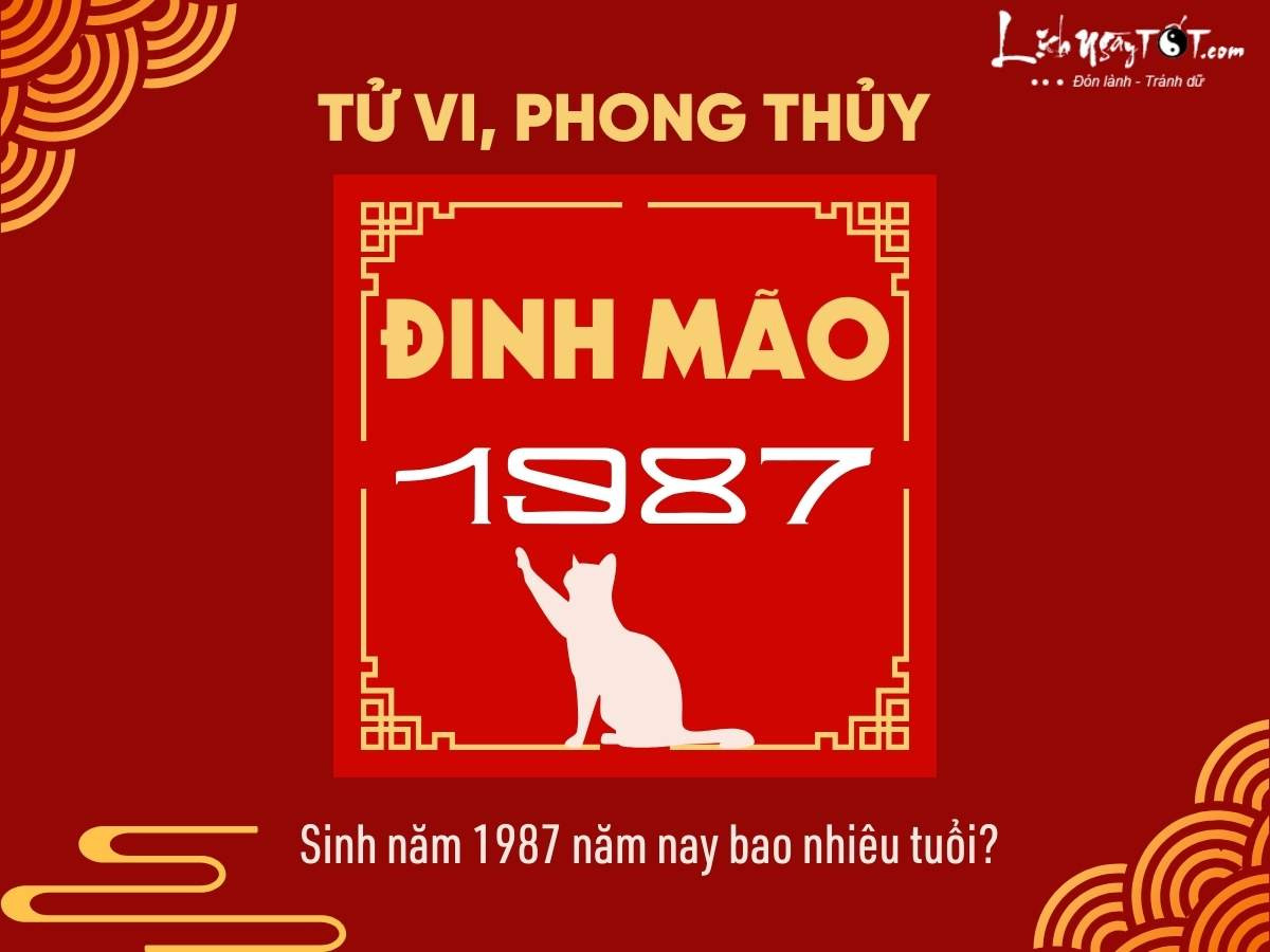 Người sinh năm 1987 tuổi Đinh Mão, thuộc mệnh Lư Trung Hỏa, cầm tinh con Mèo