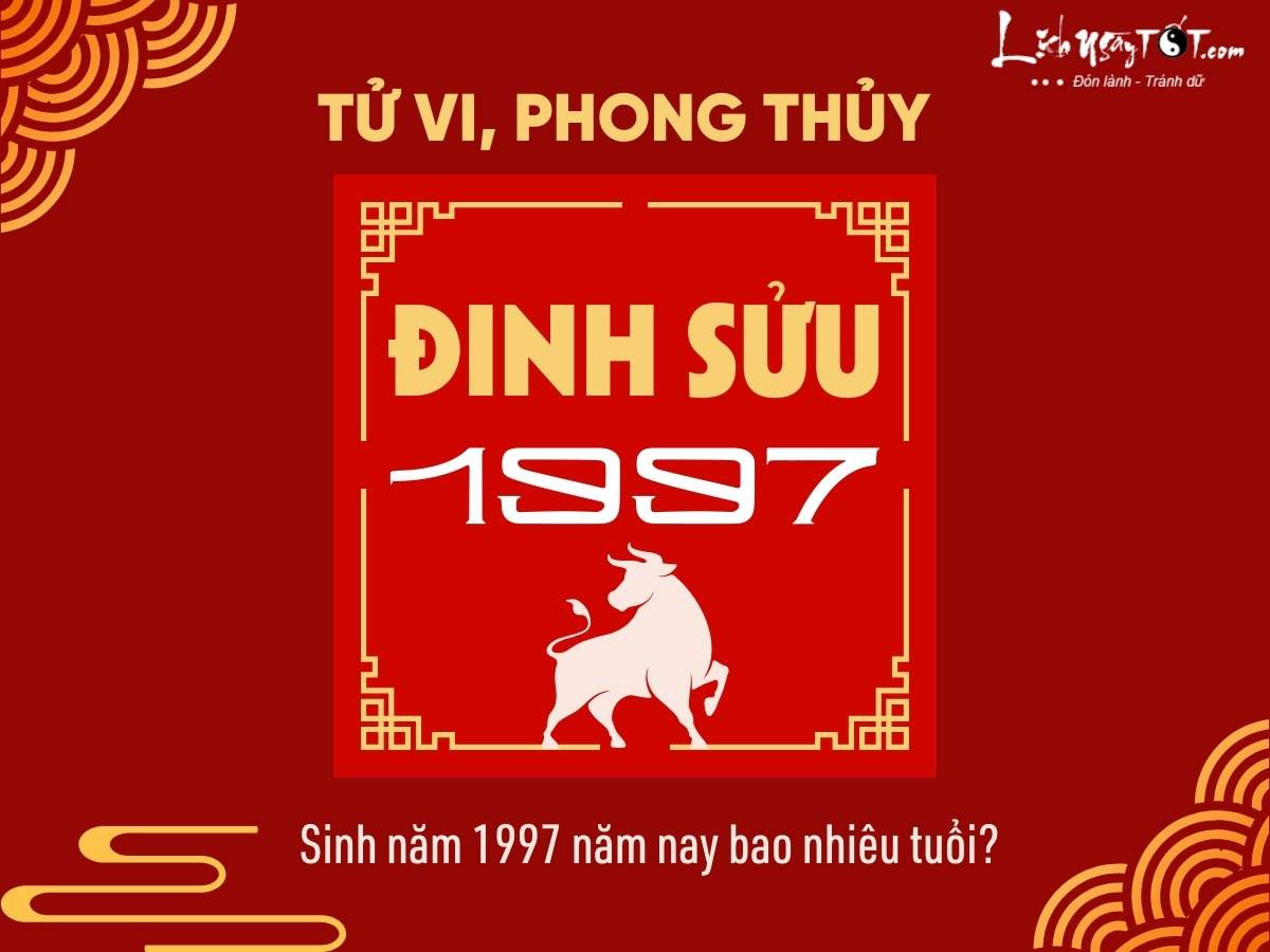 Đinh Sửu 1997 năm nay bao nhiêu tuổi theo tử vi và phong thủy