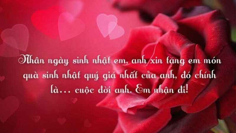 Ảnh sinh nhật hoa lãng mạn