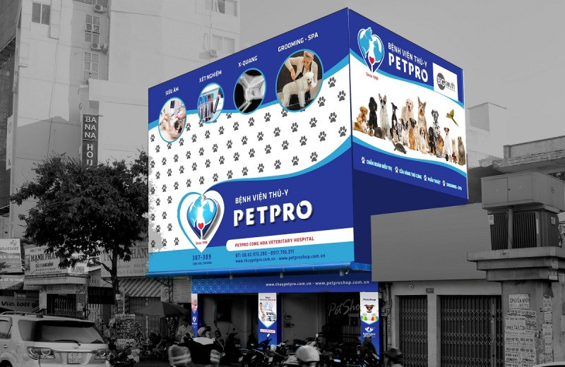 Cơ sở vật chất hiện đại tại một tiệm thú y gần đây ở TP.HCM