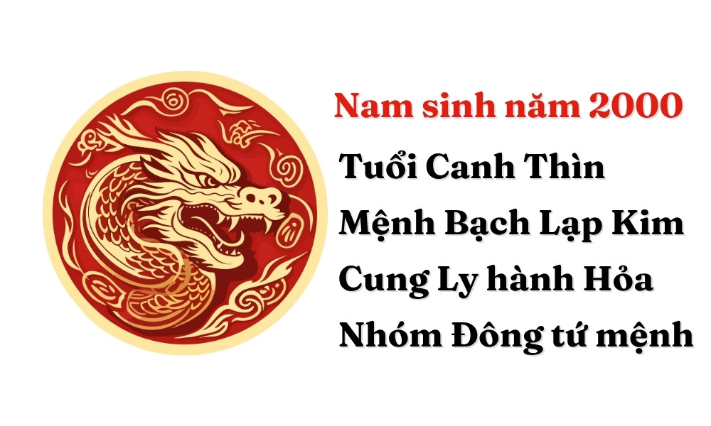 Hình ảnh tổng quan về mệnh, tuổi và cung của nam Canh Thìn 2000, giúp xác định năm sinh năm 2000 lấy vợ tuổi nào hợp theo phong thủy