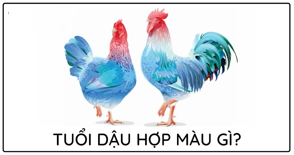 Bảng màu sắc hợp mệnh với người tuổi Dậu dựa trên nguyên lý ngũ hành