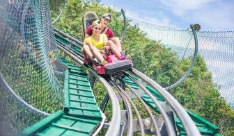 Trải nghiệm đường lượn Alpine Coaster tại VinWonders Nha Trang