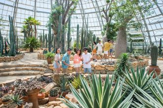 Cảnh quan World Garden VinWonders Nha Trang