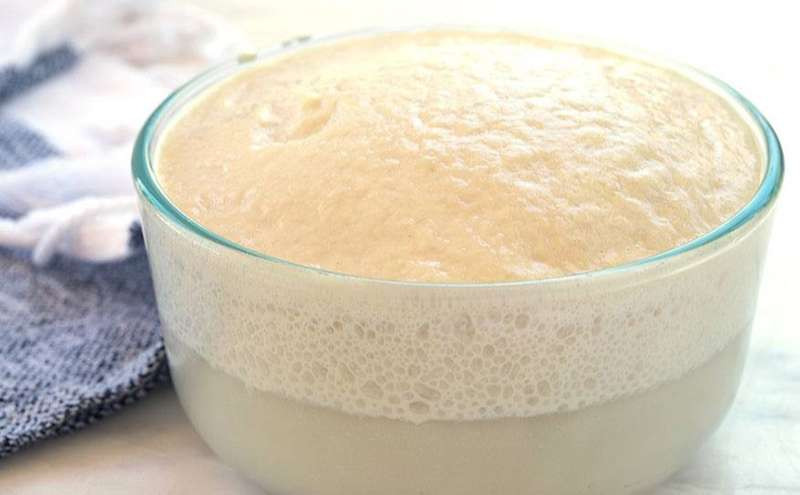 Kích hoạt men bằng sữa tươi