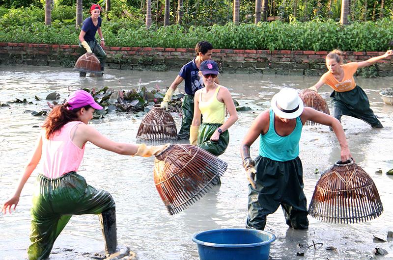 Tính cách cung Sư Tử tham gia hoạt động môi trường cộng đồng