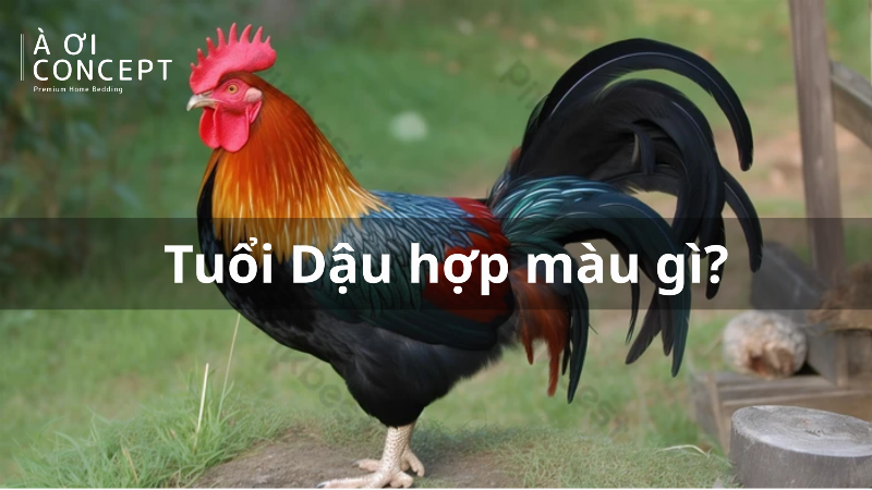 Vat pham phong thuy mau ky menh Thuy nhu vang dat, nau, xanh la cay can tranh hoac can nhac khi chon