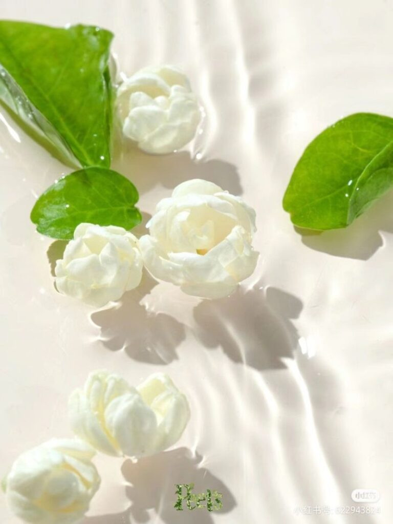 Hoa đẹp dưới nước