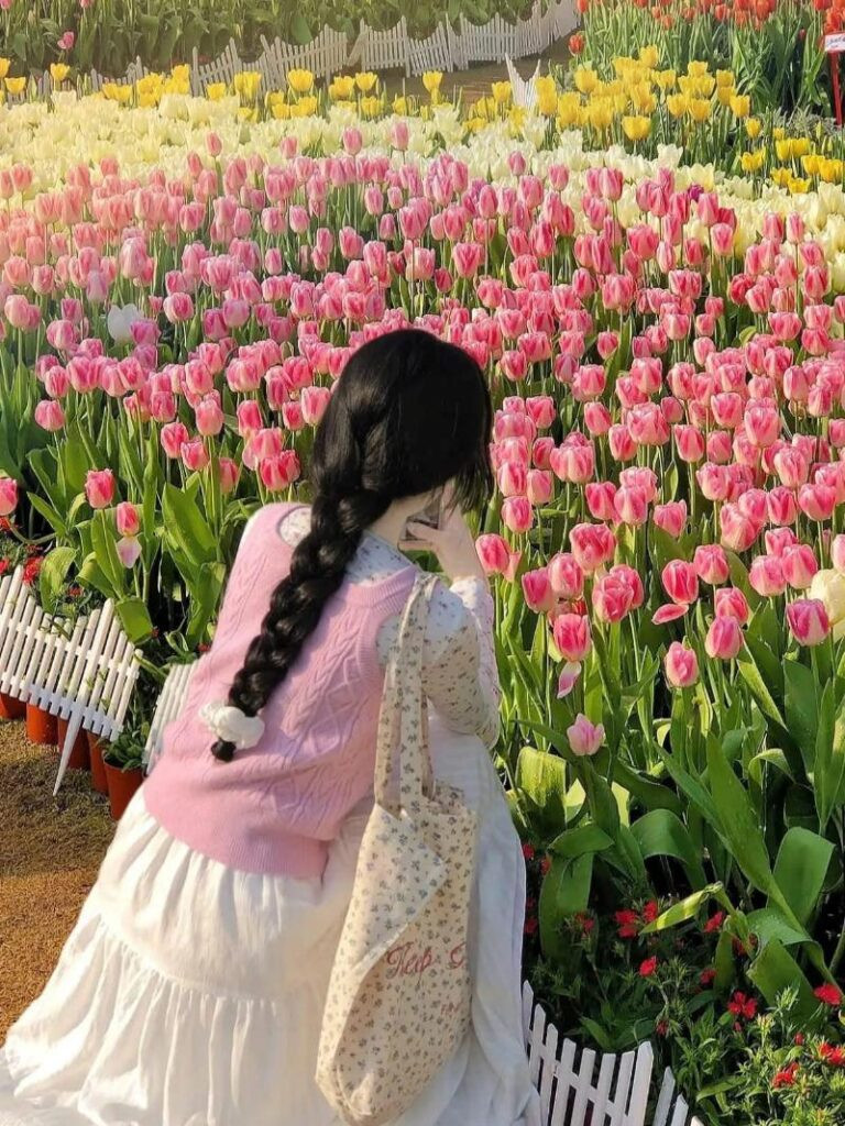 Hình ảnh hoa tulip đẹp chúc ngày mới