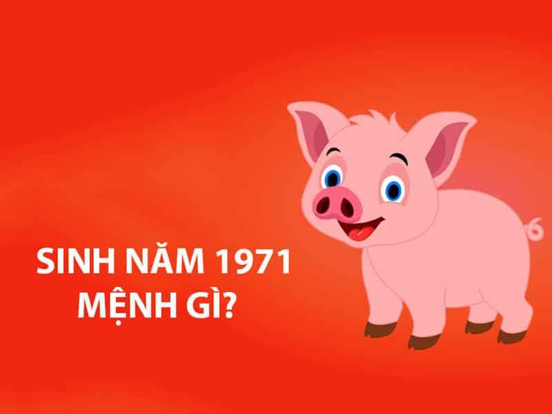 Môi trường sống trong lành và hài hòa cho người tuổi Tân Hợi 1971