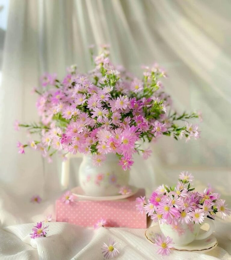 Hình ảnh hoa đẹp chúc ngày mới