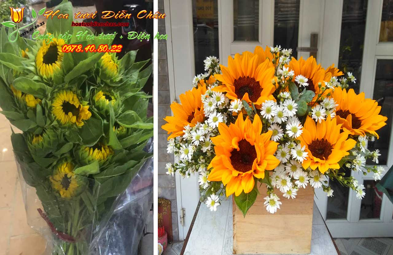 Cắm hoa Hướng Dương kiểu hộp độc đáo