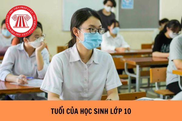 Học sinh lớp 10 và quy định về độ tuổi nhập học
