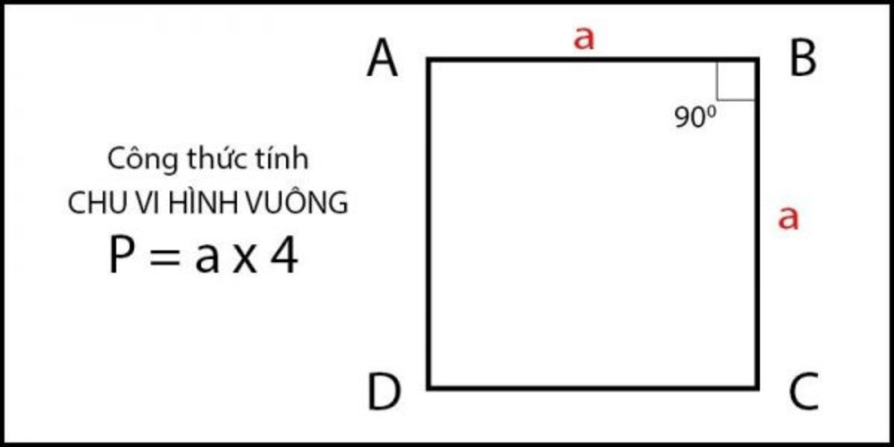 Cách tính diện tích hình vuông khi đã biết chu vi P