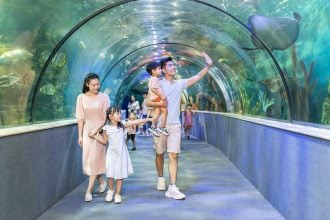 Ngắm nhìn các loài sinh vật biển độc đáo tại thủy cung Times City