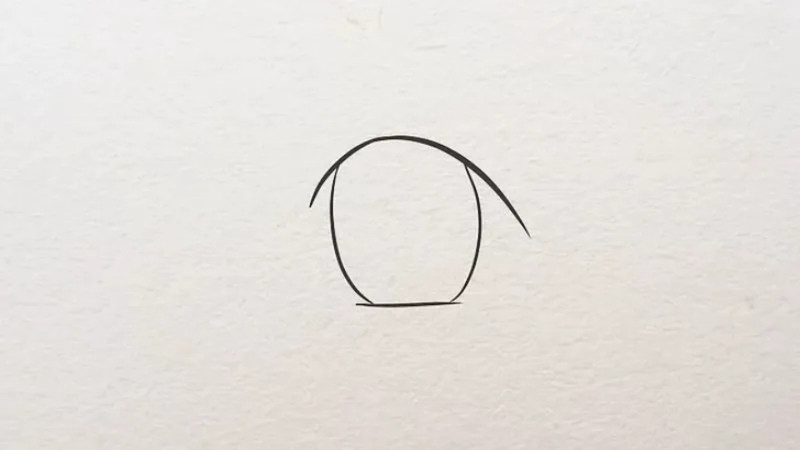 Vẽ mí mắt trên dưới và hình oval khuyết cho tròng đen