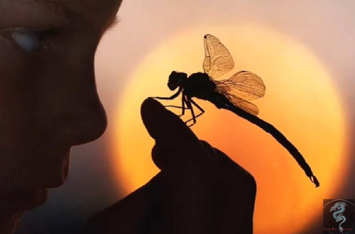 Một nhóm trẻ em đang vui vẻ chơi trò nu na nu nống